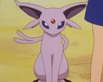 Espeon is Sakura's main Pokémon. It first appeared as an Eevee in Trouble's Brewing. By its next appearance in Espeon, Not Included, it had already evolved into Espeon and had a battle against Misty's Corsola. However, it was defeated by the Water-type. It also appeared in The Blue Badge of Courage defeating Misty's Corsola, earning Sakura a Cascade Badge.