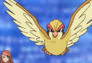 Solidad's Pidgeot.