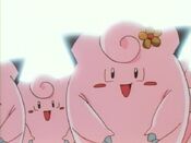 The Clefairy appear