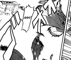 Hurricane Pokemon Wiki Fandom Hurricane Pokemon Wiki Fandom