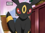 Johanna's Umbreon was first seen when Ash & Co. returned to Twinleaf Town for the special Twinleaf Festival. While there, Johanna had a double battle with Dawn for training and used Umbreon in this battle. It managed to hold its own in battle and worked well with Glameow and managed to easily defeat Dawn. Johanna then later used it against Palmer in the Twinleaf Festival.