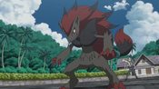 Mohn's Zoroark