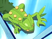 Sceptile climbing the Wall