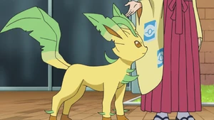 Erika's Leafeon.