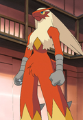 May's Blaziken