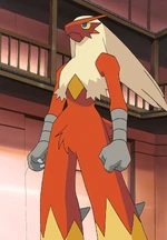 Blaziken was given to May by Professor Birch in Littleroot Town as a Torchic. She chose it as her starter Pokémon because she thought Treecko was creepy and scary (though she later called them cute in Trees a Crowd), while the starter Mudkip had attacked her earlier with a Water Gun to the face. As a Torchic, it evolved in the episode A Shroomish Skirmish, when trying to fend off some Shroomish and Breloom. It later evolved in the midst of a Pokémon battle with Team Rocket.