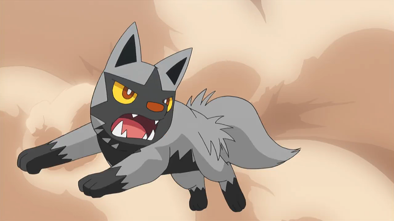 Team Flare S Poochyena Pokemon Wiki Fandom