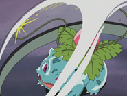 Jimmy Ivysaur Vine Whip