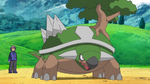 Torterra, evolved from the Turtwig that he obtained as a starter is one of Paul's strongest Pokémon whom Paul has used in his many league battles. It knows many strong attacks such as Frenzy Plant, it manages to hold its own in battle. However, it was defeated easily by Cynthia's Garchomp. This was a one-off loss however as Paul used it in a variety of battles where it won easily. Despite its Trainer being harsh, Torterra itself was eager to help Ash's Grotle get to terms with its new physique and loss of speed.
