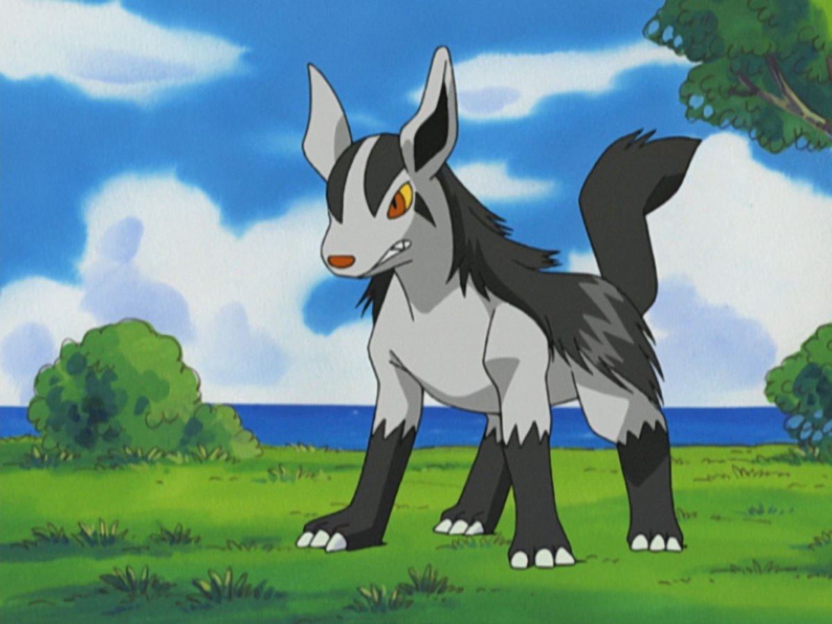 Mightyena (Pokémon) - Bulbapedia, the community-driven Pokémon encyclopedia