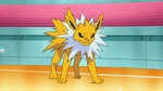 Jolteon was the second Pokémon used by Volkner during his and Ash's rematch. Ash used his Infernape, which defeated Jolteon with a Mach Punch.