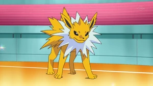 Volkner's Jolteon.