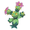 0556Maractus