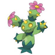 Maractus