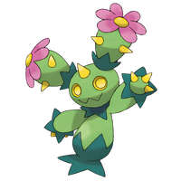 #0556 Maractus Grass
