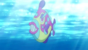 Bruxish in the anime.