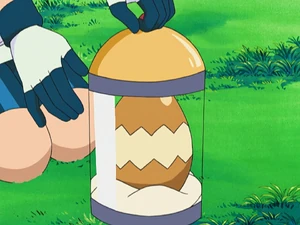 May's Eevee Egg.