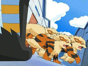 Officer Jenny's Arcanine.