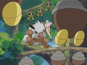 Shiftry commands the other Pokémon to defend the forest