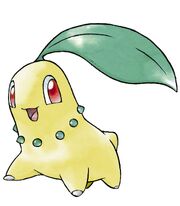 Yellow Chikorita
