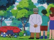 The Pokémon celebrate Bulbasaur as a hero