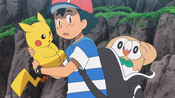 Ash and Pikachu see that Rowlet woke up from its nap