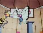 Butterfree is one of A.J.'s Pokémon that was seen training at his gym. it was later used to battle one of Ash's Pokémon.