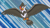 Ash's Starly, Staravia and Staraptor