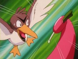 Sylvester's Farfetch'd, Pokémon Wiki