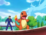 A Charmander that the instructor used to battle Squirtle which was choosen randomly by Nurse Joy during the Pokémon League entrance exam.