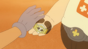 Hapu gives Sophocles a Z-Ring.