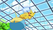 Pikachu about to attack Surskit with Iron Tail