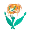 0671BFlorges Pokémon HOME