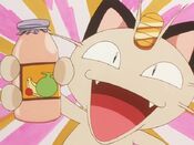 Meowth's afterbath smoothy plan