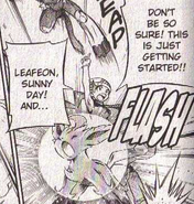 Sunny Day being used by Mitsumi's Leafeon (Diamond and Pearl Adventure!).