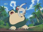 Vigoroth scratches Snorlax