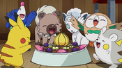 Mallow gave the food for Pokémon