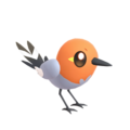 SSBUFletchling