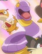 Ekans was used by Team Skull Grunts to battle against Ilima and his Eevee. They were shortly defeated by Eevee when it used a combination of Quick Attack, Baby-Doll Eyes and Swift.