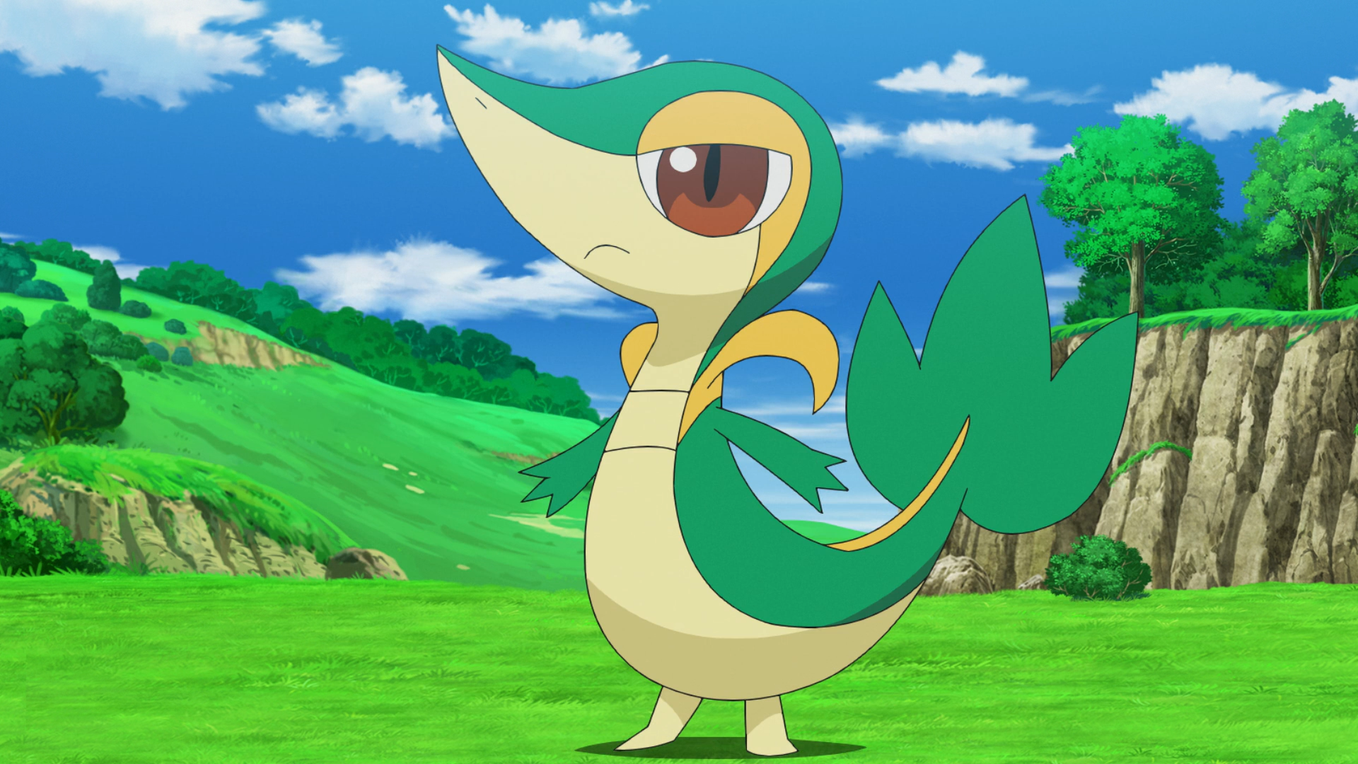 Snivy fact of the day - Snivy #495 In the anime, Ash tried his hand at  catching a wild Snivy. Unluckily for him the Snivy was female and knew the  move Attract