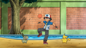 Ash plays with the Pokémon