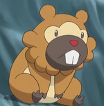 Beatrice owns a Bidoof, who had been captured once.