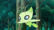 Celebi anime