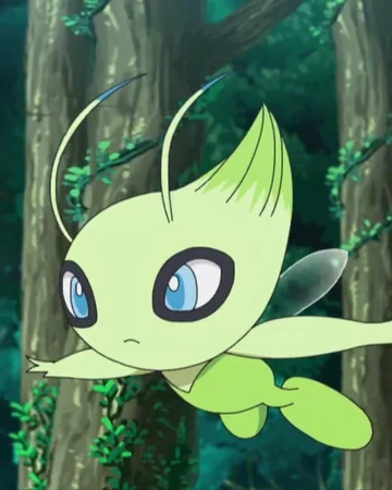 Celebi Anime Pokemon Wiki Fandom