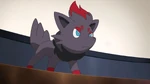 Zorua is Luke's main Pokémon. Luke first met Zorua in a theater when he was watching a movie. It uses its Illusion ability to play as silent character roles in the movies and is also mischievous.