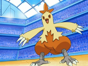 May's Combusken.