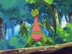 Natasha sent Slugma and Grovyle in a Double Battle against Ash's Corphish and Treecko.