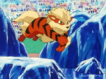Pete's final Pokémon during his battle against Ash was Arcanine. Despite being at a type disadvantage, Arcanine easily defeated Ash's Kingler. Ash then sent out Pikachu who was almost defeated when Arcanine used Fire Blast to melt the ice, leaving Pikachu no choice but to jump into the water. Pikachu turned the tables with a close range Thunderbolt attack, defeating Arcanine.