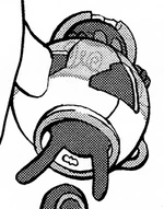 This description is blank. You can improve the Pokémon Wiki by editing this template.