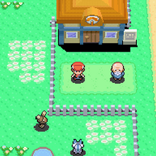 Pokemon Diamond And Pearl Version Pokemon Wiki Fandom
